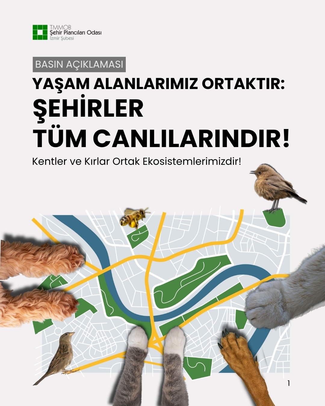 BASINA VE KAMUOYUNA
YAŞAM ALANLARIMIZ ORTAKTIR: ŞEHİRLER TÜM CANLILARINDIR
KENTLER VE KIRLAR ORTAK EKOSİSTEMLERİMİZDİR!
